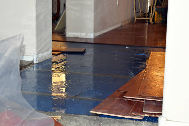 Professional Water Damage Restoration technician working in Fairfield, WA